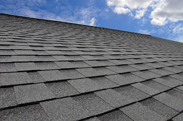 Best Roof Maintenance and Cleaning  in Palm Bay, FL